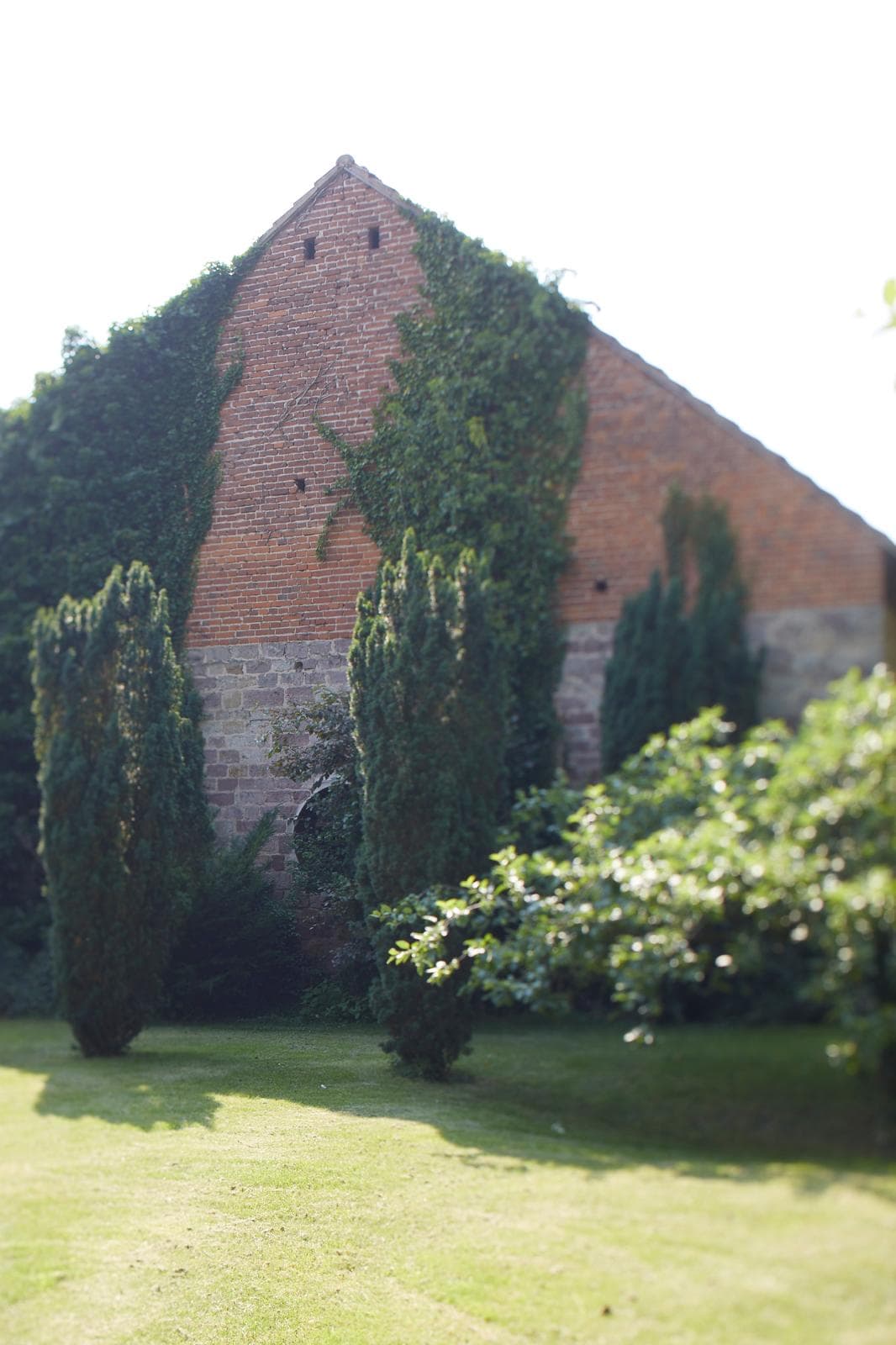 Façade en brique recouverte de lierre