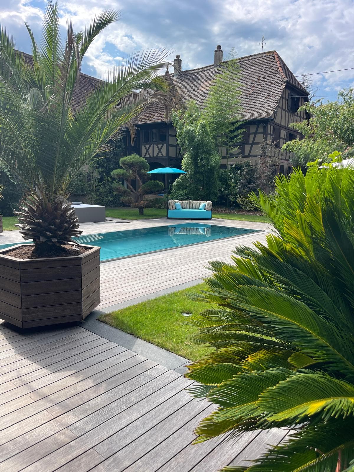 Piscine extérieure avec palmiers et terrasse bois